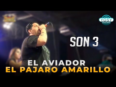 El Aviador, El Pajaro amarillo - Son 3