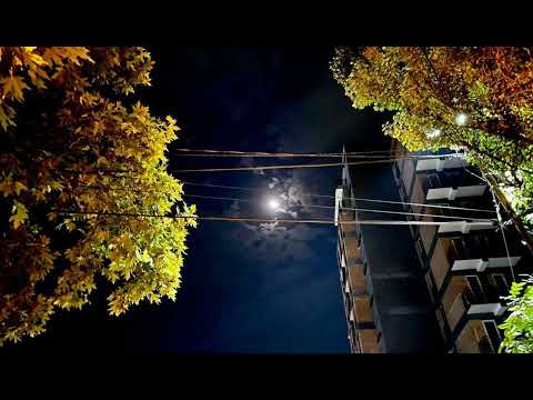 IV დასი ft Dark Poetry - მერამდენე ღამეს?!