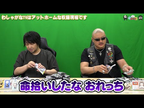 ڤ路㤬TVۤޤư褽598֤路㤬TVϥåȥۡʼϿǤס¼ͪ/ޥեġ