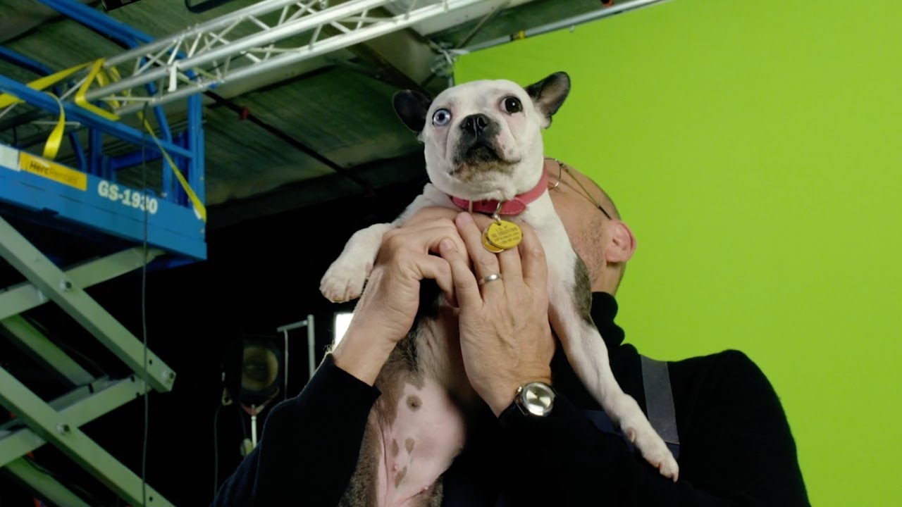 Scabigail's Scene | Good Eats: Reloaded