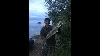 Яузское водохранилище отчеты о рыбалке 2019 пудыши