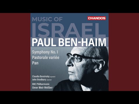 Symphony No. 1: I. Allegro energico - Più moderato - Ancora più calmo - Più mosso