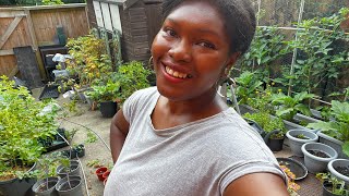 A FULL Day in the Summer Container Garden | Week 19✨