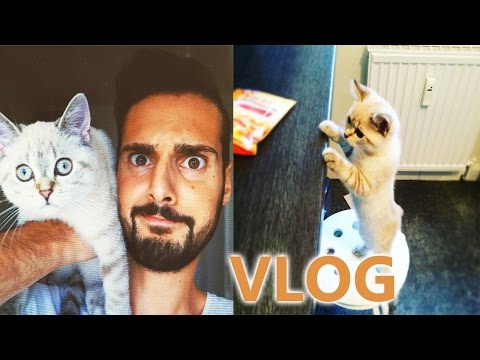 SAMIRA UND IHRE LECKERLIS! SIE WILL NUR FRESSEN! DAS KLEINE BIEST! Spiel mit mir