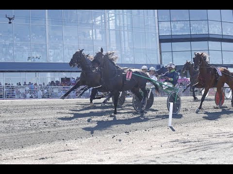 Elitloppet Försök 2 Ringostarr Treb (2018)