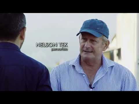 CASTELO DE SONHOS E O RAMBO DO PARÁ