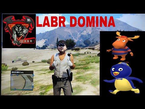 MLK-OF-BASE-2 (WOLF) vs zCaio-17 (LABR) AKA BACKYARDIGANS