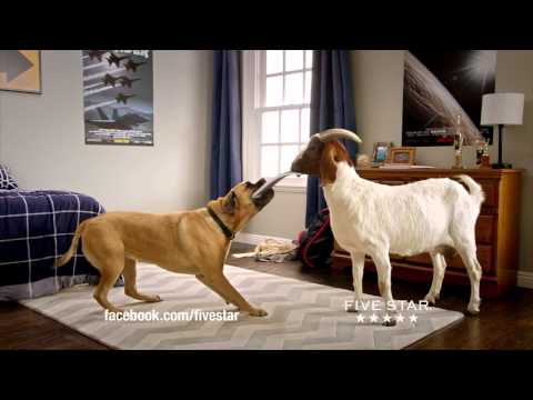FiveStar Cinco vs. FiveStar National Commercial
