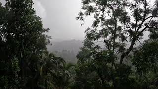 Heavy Rain Sounds in the Cold and Windy Mountains