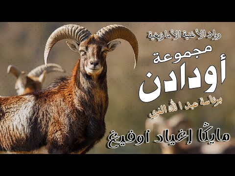 Oudaden - Mayga Igh Yad Ofigh (EXCLUSIVE) | 2023 |  مجموعة أودادن - مايڭا إغياد أوفيغ