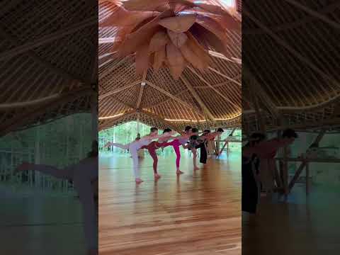 Yoga Teacher Training is More Than Teaching — It’s Growth And Finding Your Soul Family 🌿