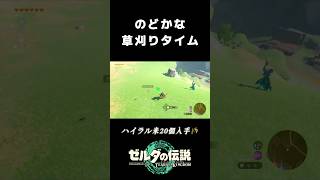 リンクとハイラル米探し #ゼルダの伝説ティアーズオブザキングダム #ティアキン #ゲーム実況 #shorts