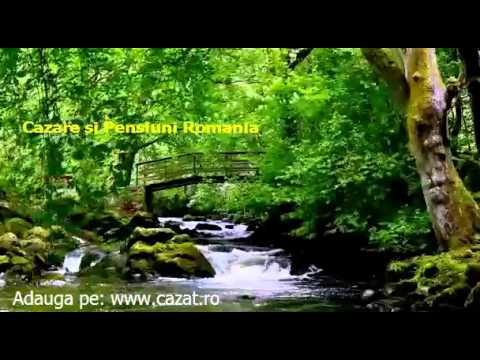 Cazare Magura, Bacau - Cazat.ro