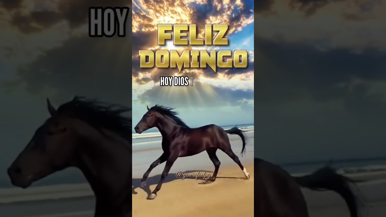 Feliz Domingo #frases #bonita #buenosdias #felizdia #dios