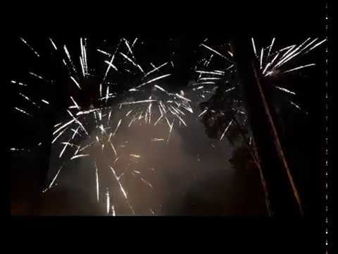 FFW2001-36F 36 SHOT FAN SHAPE BROCADE MINES+BROCADE CROWN