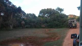 preview picture of video 'Safari in Yala National Park'