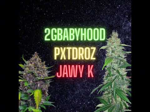 Pxtdroz - Mao Freestlye Ft. @2g.babyhood , @phanurakdontfallingluv 