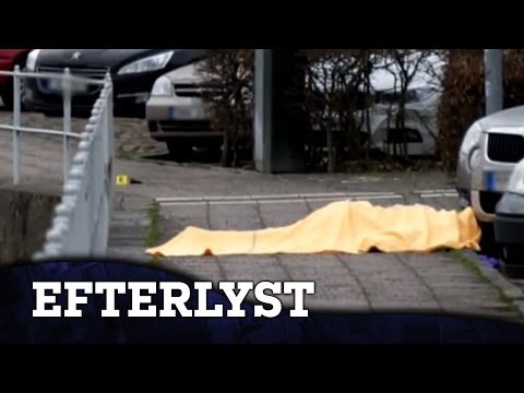 Man hittad avliden i Falkenberg - del 2