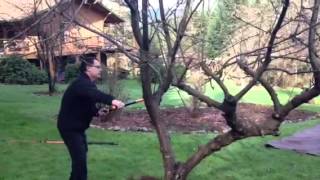 preview picture of video 'MAK Landscape and Irrigation, Tree Pruning, Kings Valley, Oregon'