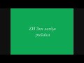 Recenzija ZH 3xx Serije Pušaka