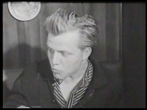 Finkenwerder - Zwei Welten auf einer Insel (1964)