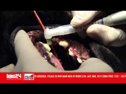 Pole Position puntata 24: Dentalvet - Trentino Alto Adige