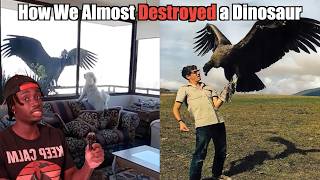 Why We Owe a Vulture on Steroids an Apology