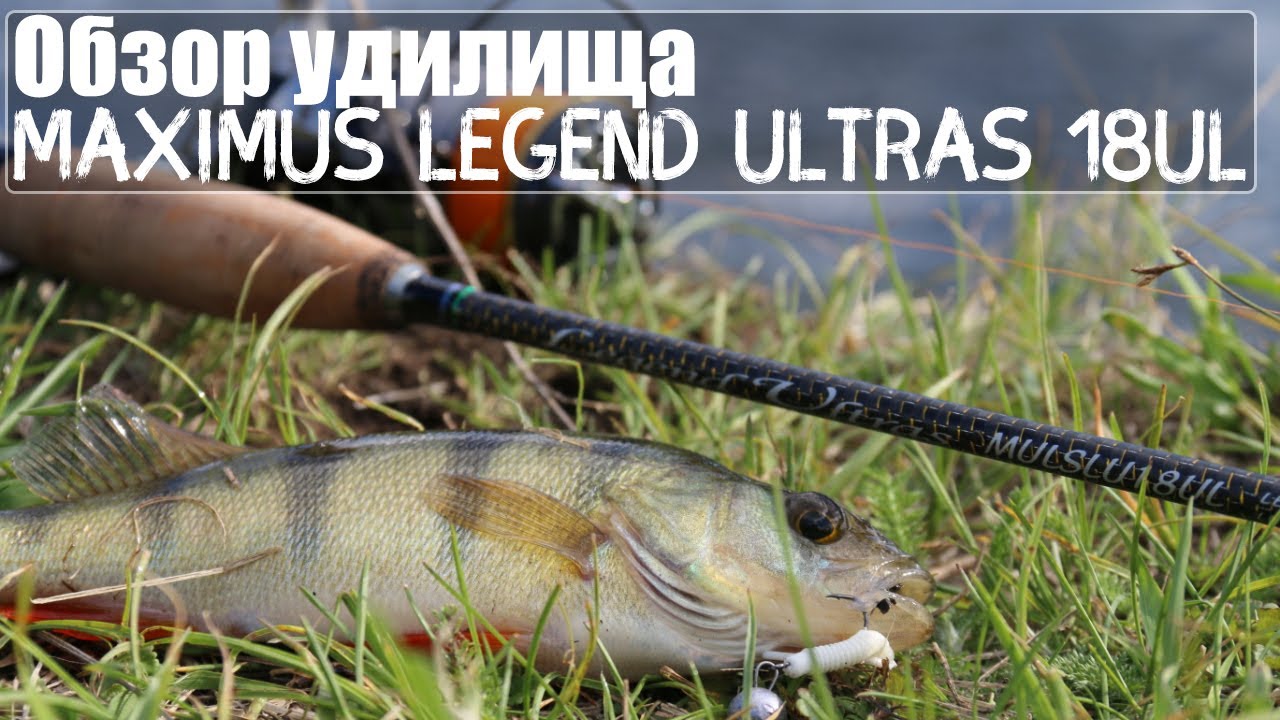 Spiningas Maximus Legend Ultras 200cm 2-9g Spiningas Maximus Legend Ultras 200cm 2-9g