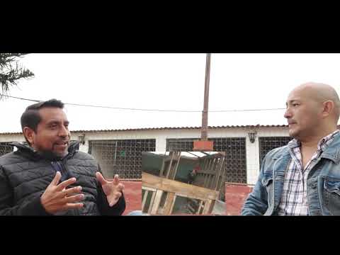 ENTREVISTA A FERNANDO REVOLLAR A. - LIMA - PERÚ