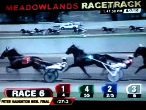 2010 Hambletonian Day - Race 6 - Peter Haughton Memorial Final