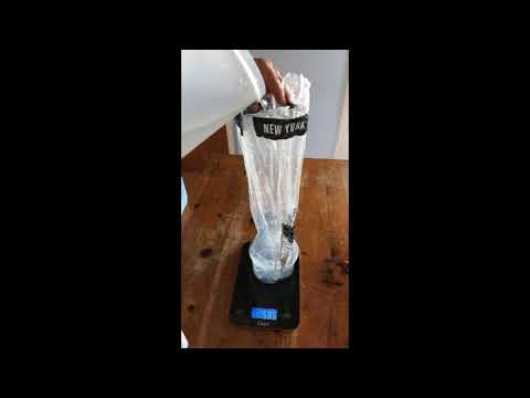 Experiment 1 - Disproving the Hydrostatic Paradox
