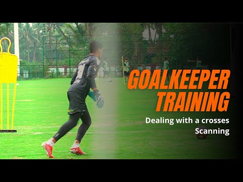 Goalkeeper training . Dealing with a crosses. Scanning.