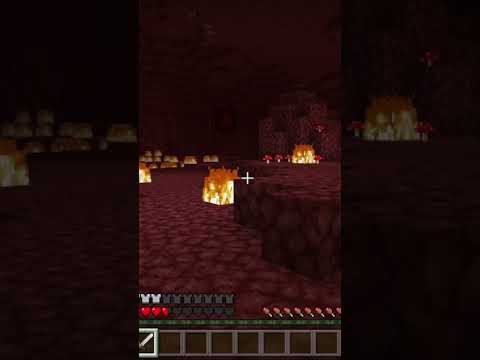 The nether is a scary place...FOR ANYONE BUT ME!  #mcyt #meme #minecraft #minecraftshorts #qsmp