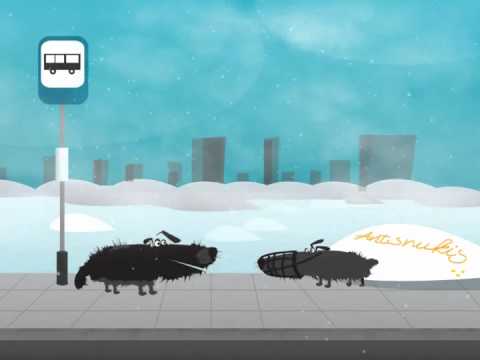 Antsnukis (Šunsnukis)