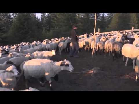 Slanic Prahova Cazare - Cazat.ro