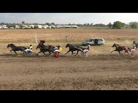 Trka "Sećanje na Vladu Bjelogrlića" 13.09.2020 Greenpeace - Zoran Petrović