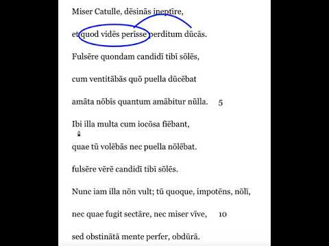 Catullus 8.1-11