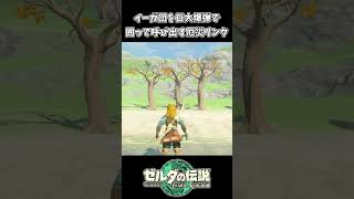 【ティアキン】巨大爆弾で囲って呼び出すリンクｗｗ【ゼルダの伝説 ティアーズ オブ ザ キングダム】