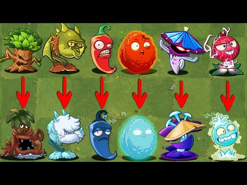 PvZ 2 Discovery -  Similar Shape Plants But Different Attributes! (China & International)