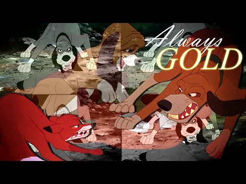 ♥Always gold♥ Todd/Cooper