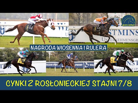 Cynki Adam Wyrzyk 7 i 8 dzień wyścigowy Nagroda Wiosenna i Nagroda Rulera