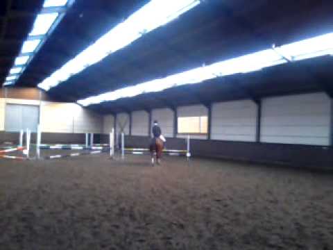 F6 Felecienne Springconcours .Filip Dros Manege Barendrecht.