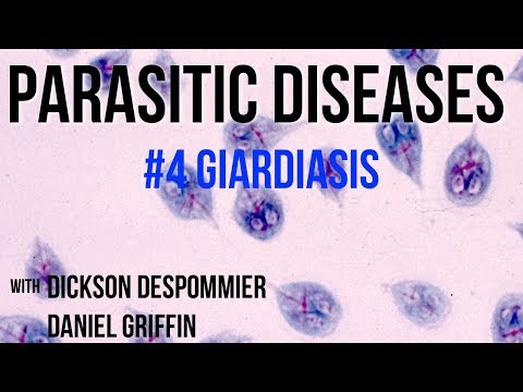 Parasitic Diseases Lectures #4: Giardiasis