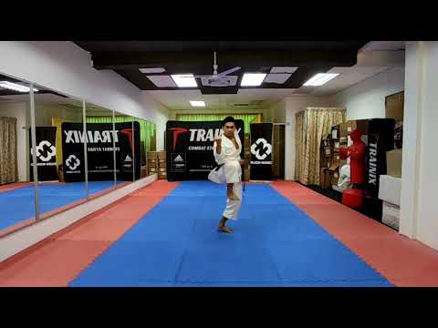 OHAN DAI - NICKHOLIN NELVIN NAHFIRIN - 2ND OKINAWA WORLD E-TOURNAMENT 2022