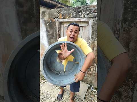 Petjah #shorts #funny #mostfunny #comedy #family #memes #trending