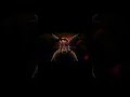 Harjas Harjayi 13 13 13 X Album Snippet Coming Soon