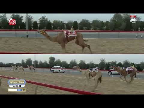 ش 14 (طويق) لـ ناصر سالم بن حمد العويسي 12:23:70 ، ختامي المرموم 2026/03/30 ثنايا