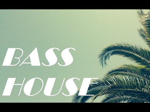 Bass House | 2021 | #1 (DON DIABLO,Tujamo,Nicky Romero)