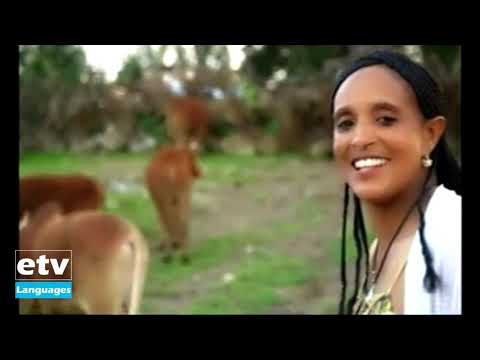 #etv Seenaa gabaabaa Artiist Iteenash Girmaa