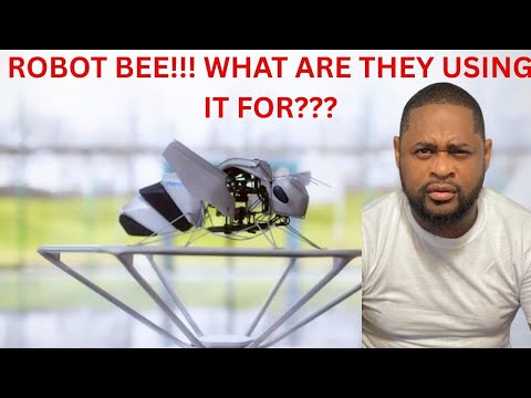 BionicBee Review Video 1